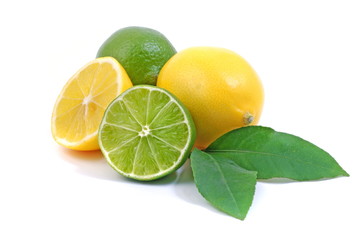 Arrangement mit Zitrusfrüchten/citrus fruits