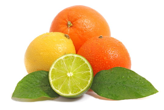 Zitrusfr&uuml;chten/citrus fruits