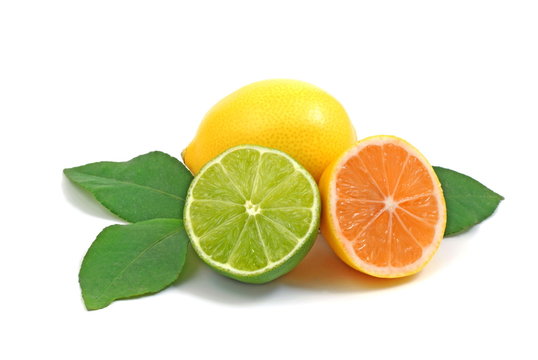 Zitrusfr&uuml;chten/citrus fruits