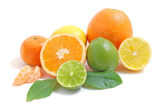 Arrangement mit Zitrusfr&uuml;chten/citrus fruits