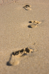 Fototapeta na wymiar Fußabdrücke im Sand
