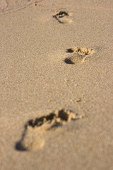Fußabdrücke im Sand