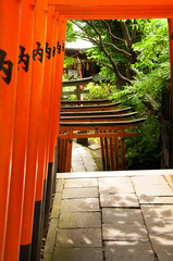 Obraz premium Orange Japanese Arches leading to Temple