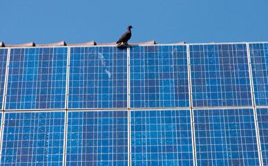 Solarzellen auf Wohnhaus