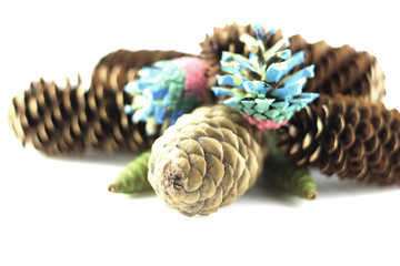 Forest cones. Shallow DOF.