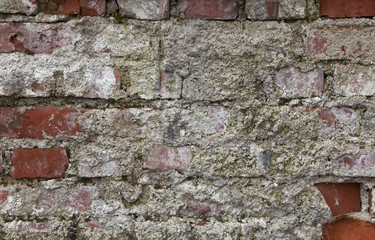 Textur von einer Mauer mit Putz