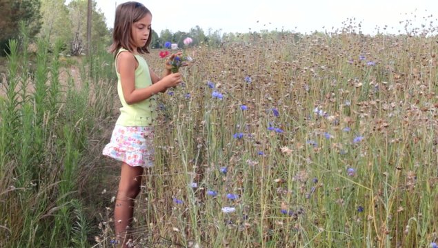 composer un bouquet de fleurs sauvages