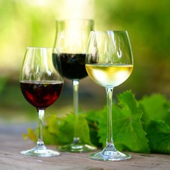 Weinprobe