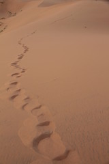 Fußspuren im Sand des Erg Chebbi, Sahara - Marokko