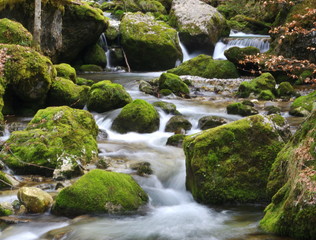 rivière de montagne