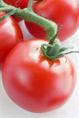 Tomato on a branch close-up