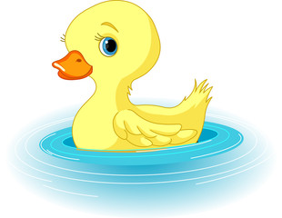 Swimming Duckling