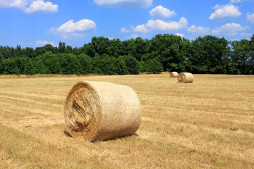 hay bale cornfield trees blue sky white clouds