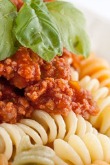 Fusilli bolognese