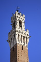 Fototapeta na wymiar siena torre