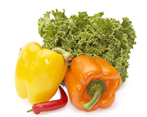 vegetables isolated on a white background