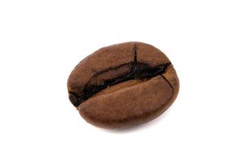 macro shot of a coffee bean, isolated on white