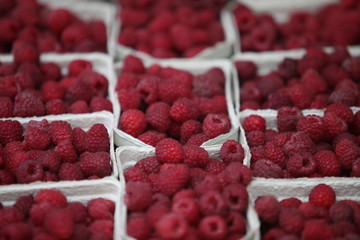 Himbeeren