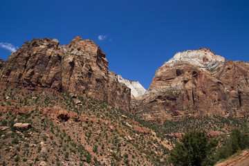 Fototapeta premium zion national park