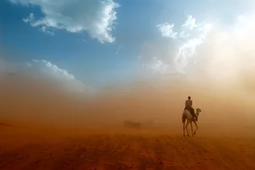 Foto auf Acrylglas Wüste © Rick Henzel