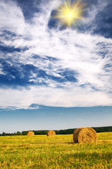 Field with bales against tender sun in the blue sky.