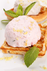 Waffle, whip and mint