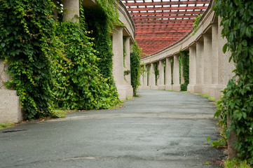 Wrocławska pergola © Grzegorz Polak