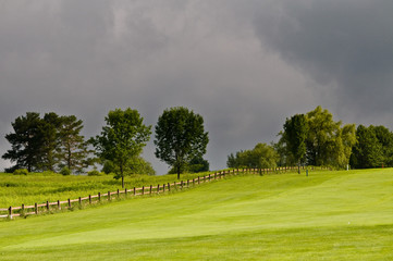 golf course landscape with trees