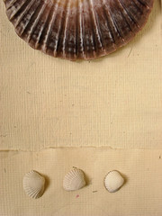 holidays memory paper © piotr_roae