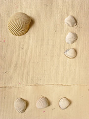 holidays memory paper © piotr_roae