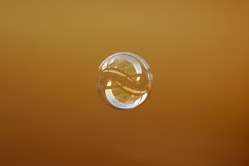 Small World Reflection