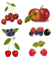 Photo-realistic vector. Group of berries and apple.