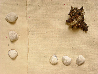 holidays memory paper © piotr_roae