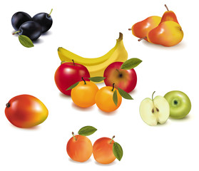 Group of fruit. Vector.