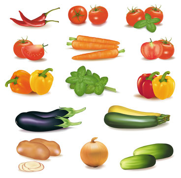The big group of vegetables. Photo-realistic vector.