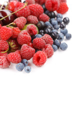 different kinds of berries