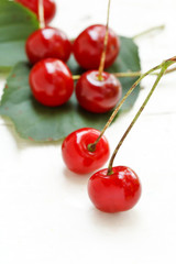 fresh cherries