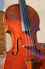 Violin