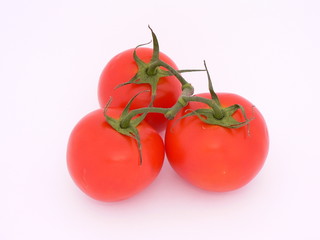 a cluster of tomatoes