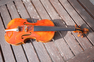 Violin