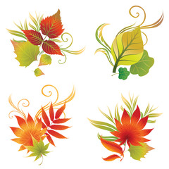 set of autumn leafs design elements. Thanksgiving