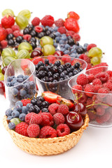 different kinds of berries