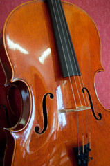Fototapeta premium Cello