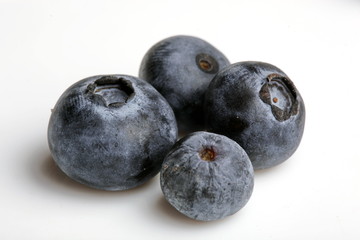 Obraz premium Heidelbeere, Blaubeere, formatfüllend