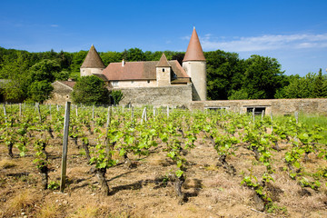 Fototapeta na wymiar Chateau de Nobles, Burgundy, France