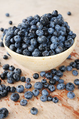 Schale mit Heidelbeeren