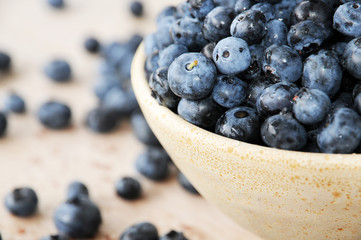 Tonschale mit Heidelbeeren