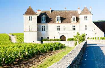 Fototapeta na wymiar Clos Blanc De Vougeot Castle, Burgundy, France