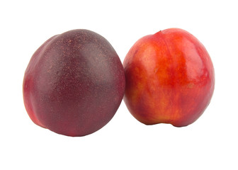 nectarine