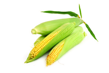 Corn